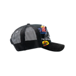 Friends & Family view 9